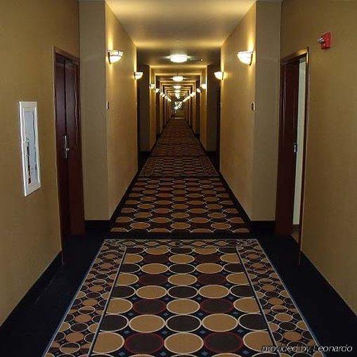 Irish Inn And Suites Muleshoe Zewnętrze zdjęcie