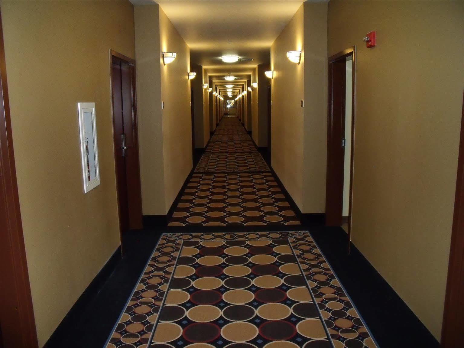 Irish Inn And Suites Muleshoe Zewnętrze zdjęcie
